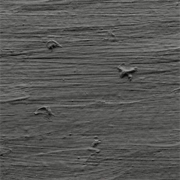 Dark Documentary Textures