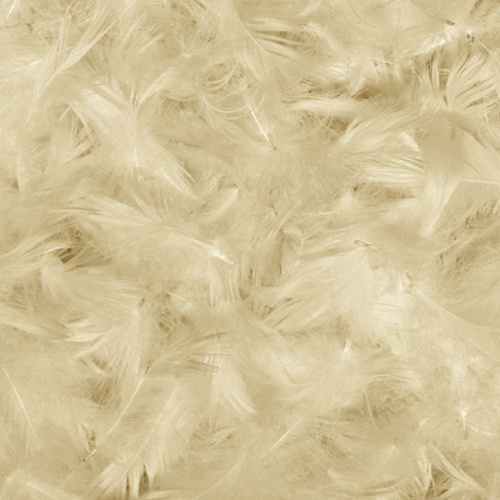 Filmic Fluffiness