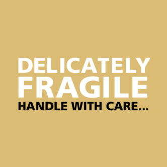 Delicately Fragile Back Cover
