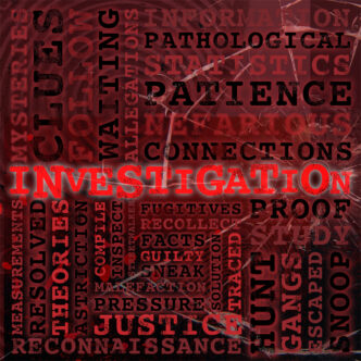 Real Crimes : Investigation Front Cover