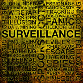 Real Crimes : Surveillance Front Cover
