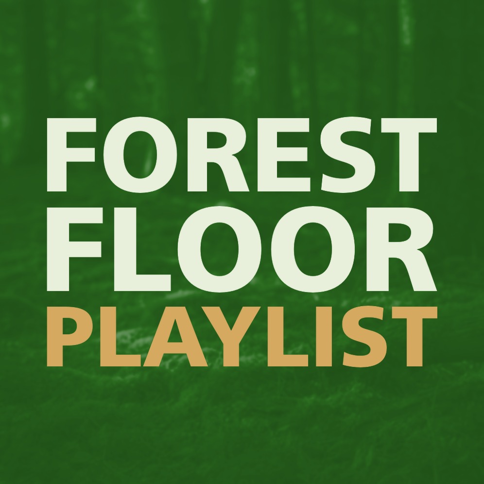 FOREST FLOOR PLAYLIST