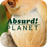 Absurd Planet