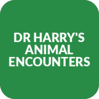 Dr Harry's Animal Encounters