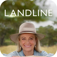 Landline