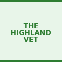 The Highland Vet
